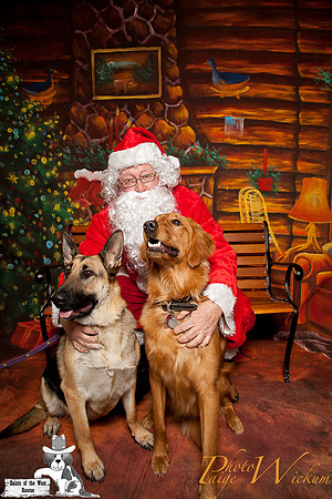 santa-photos-internet-35