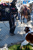 SaintsParade2013_internet-14