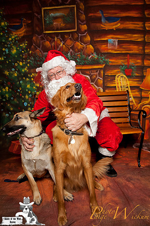 santa-photos-internet-34