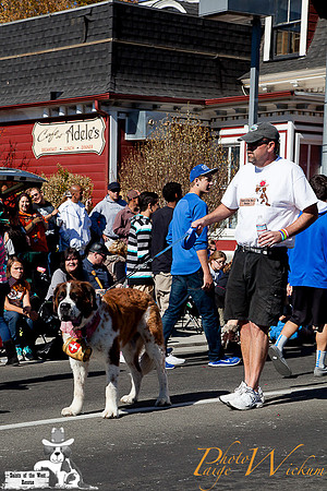 SaintsParade2013_internet-43
