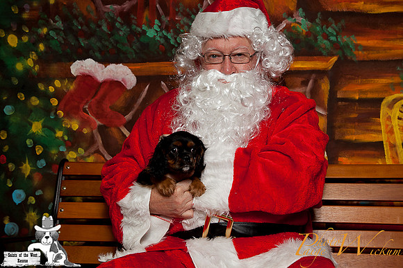 santa-photos-internet-65