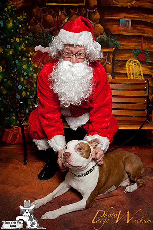 santa-photos-internet-91