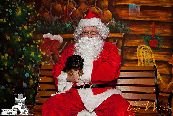 santa-photos-internet-66