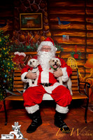santa-photos-internet-8