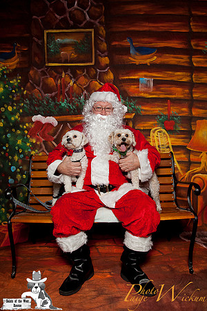 santa-photos-internet-8